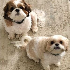 Meet your Posher, Heather